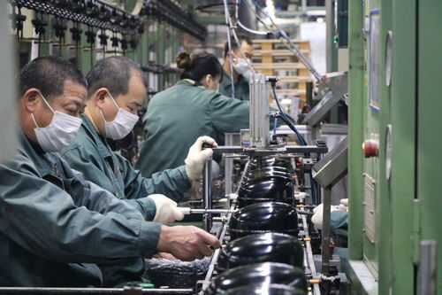 海外訂單激增，長虹電視與冰空洗產品同比大幅增長，網(wǎng)絡技術服務助力業(yè)務拓展